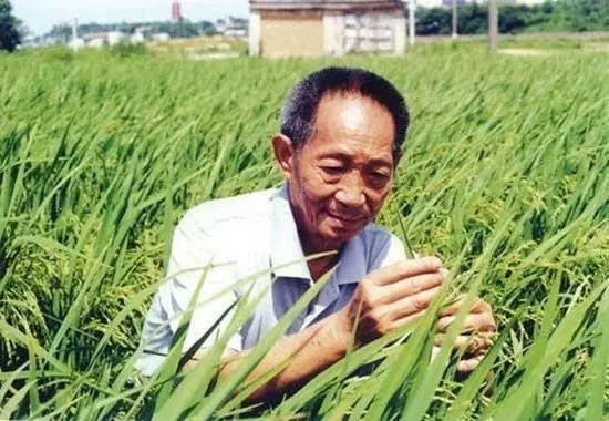 一日三餐，米香彌漫，飽食者當(dāng)憶袁公！
