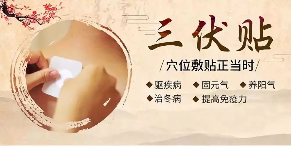 關于三伏貼，你了解多少呢？