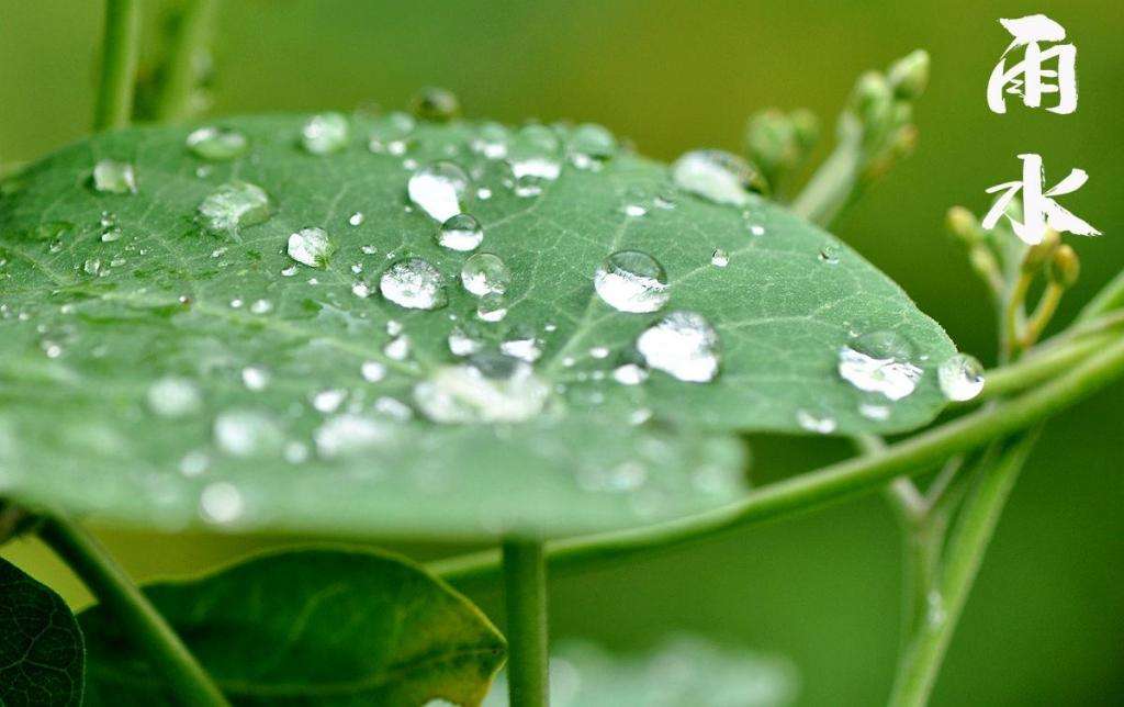 雨水！
